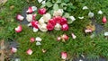 Bouquet of roses, white and pink, jetty on the ground, in a stone path in the middle of a lawn