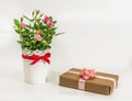 A bouquet of roses in a white vase and a gift in brown paper on a white background Royalty Free Stock Photo