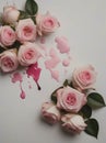 bouquet of rosesbouquet of roses bouquet of roses bouquet of roses Royalty Free Stock Photo
