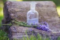 bouquet Salvia pratensis, meadow clary or meadow sage purple flowers near bottle of medicine on stump in forest on a background of Royalty Free Stock Photo