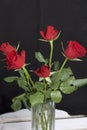 A bouquet of scarlet roses in a glass vase. Five flowers. On a black background
