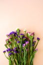 Bouquet of sea lavender flowers Limonium lying on pink background. Top view. Copy space