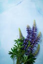 Bouquet of simple blue flowers. Still Life with Lupine. Selective focus.Top view.Copy space Royalty Free Stock Photo