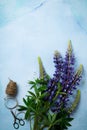 Bouquet of simple blue flowers. Still Life with Lupine. Selective focus.Top view.Copy space Royalty Free Stock Photo