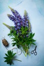 Bouquet of simple blue flowers. Still Life with Lupine. Selective focus.Top view.Copy space Royalty Free Stock Photo