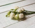 bouquet with small buds of white roses flowers Royalty Free Stock Photo