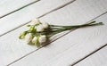 Bouquet with small buds of white roses flowers Royalty Free Stock Photo