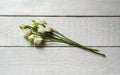 Bouquet with small buds of white roses flowers Royalty Free Stock Photo