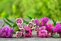 Bouquet of small carnations on a wooden background Royalty Free Stock Photo