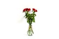 Bouquet of small Dutch red roses in a glass vase on a white background isolate Royalty Free Stock Photo