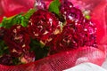 Bouquet of small red white roses on red background.