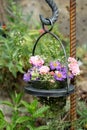 Small autumn bouquet of flowers in the garden Royalty Free Stock Photo