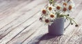 Bouquet small white camomile flowers in the vase on old wooden table