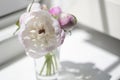 Bouquet of small white and pink peonies in a glass bowl on a light window background in a bright sunny day with a falling shadow. Royalty Free Stock Photo