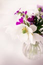 Bouquet of small white wild onion flowers and purple pansies in a vase. selective focus Royalty Free Stock Photo