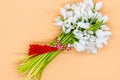 Bouquet of snow drops in a basket on colored background with red and white string first of march celebration martisor conceptbouqu Royalty Free Stock Photo