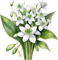 A bouquet of Snowdrop flowers. AI-Generated.