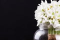 Bouquet of snowdrops in vase