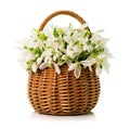 Bouquet of snowdrops in a wicker basket