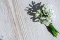 Bouquet of snowdrops on wooden background. Copy space. Holiday concept. Beautiful spring flowers Royalty Free Stock Photo