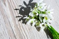 Bouquet of snowdrops on wooden background. Copy space. Holiday concept. Beautiful spring flowers Royalty Free Stock Photo