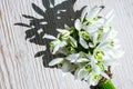 Bouquet of snowdrops on wooden background. Copy space. Holiday concept. Beautiful spring flowers Royalty Free Stock Photo