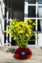 Bouquet of spring beautiful fresh field yellow flowers tansy in the red glass vase on the wooden table in the garden