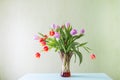 Bouquet of spring beautiful tulip flowers on soft pastel background Royalty Free Stock Photo
