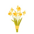 A bouquet of spring blooming flowers. Yellow daffodils. Floral decorative composition isolated on white background. Vector Royalty Free Stock Photo