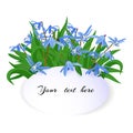 Bouquet of spring blue snowdrops