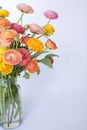 Half Bouquet of Bright Ranunculus Flowers on Left Side of White
