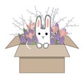 Bouquet of spring doodle hyacinths and tulip flowers in cardboard box with a sweet bunny isolated on white background Royalty Free Stock Photo