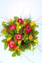 Bouquet of spring flowers