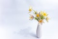 Bouquet of spring flowers. Delicate snowdrops in a white vase on a white background. Symbol of spring awakening. copy Royalty Free Stock Photo