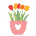 Bouquet of spring flowers in flowerpot tulips isolated on white background Vector Illustration. EPS10 Royalty Free Stock Photo