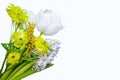 Bouquet of spring flowers Isolated on a white background. Greeting horizontal card for International Women`s Day