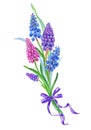 Bouquet of spring flowers of muscari, watercolor drawing