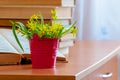 Bouquet of spring flowers near books on the table in the room Royalty Free Stock Photo