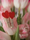 Bouquet of spring flowers, pink tulips on blurred background close up - holiday card for 8 march, Valentine day or mother`s day Royalty Free Stock Photo