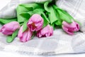 Bouquet of spring flowers, pink tulips on checkered plaid background close up - holiday card for 8 march, Valentine day or mother Royalty Free Stock Photo