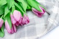 Bouquet of spring flowers, pink tulips on checkered plaid background close up - holiday card for 8 march, Valentine day or mother Royalty Free Stock Photo