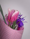 Bouquet of spring flowers. Pink tulips and irises. Gift for a woman Royalty Free Stock Photo