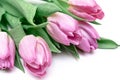 Bouquet of spring flowers, pink tulips on white background close up - holiday card for 8 march, Valentine day or mother`s day Royalty Free Stock Photo