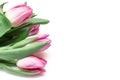Bouquet of spring flowers, pink tulips on white background - holiday card for 8 march, Valentine day or mother`s day with copy Royalty Free Stock Photo