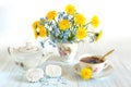 Bouquet of spring flowers. Spring still life of dandelions, forget-me-nots and cups of tea. Isolated on white background