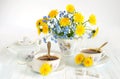 Bouquet of spring flowers. Spring still life of dandelions, forget-me-nots and cups of tea. Isolated on white background