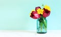 Bouquet of spring flowers with tulips in a glass jar Royalty Free Stock Photo