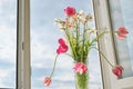 Bouquet of spring flowers tulips and white daffodils in vase on the window Royalty Free Stock Photo