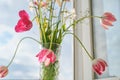 Bouquet of spring flowers tulips and white daffodils in vase on the window Royalty Free Stock Photo