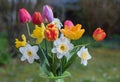 Bouquet of spring flowers in a vase, blurry garden background